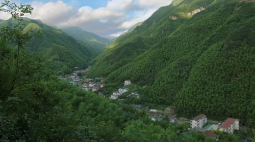 龙王村