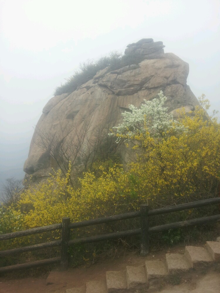鸡公山,信阳鸡公山攻略/地址/图片/门票【携程攻略】