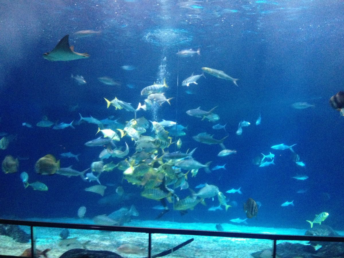 携老扶幼~台风天兔期间de台湾游:台北+垦丁 度