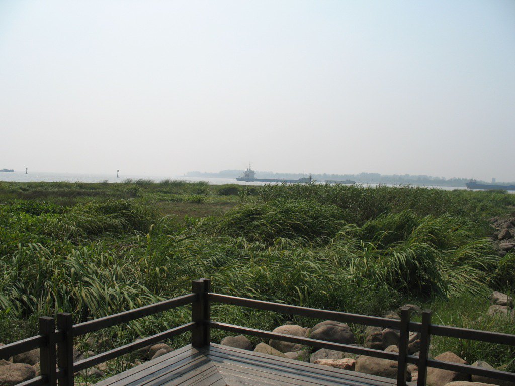 上海吴淞炮台湾湿地森林公园一游