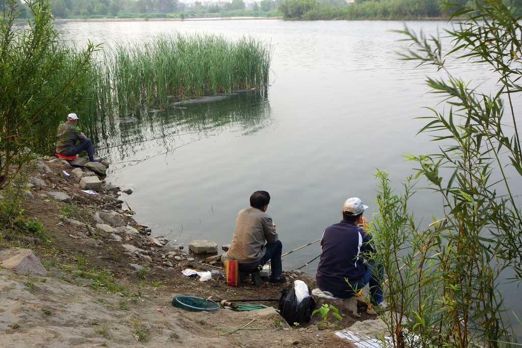 汾河湿地公园小景(2)