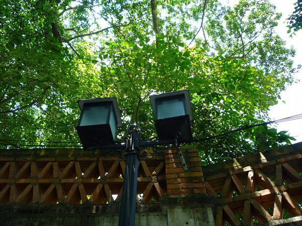 厦门鼓浪屿旅游的最新消暑攻略-厦门游记高原马来西亚云顶攻略旅游秘籍图片