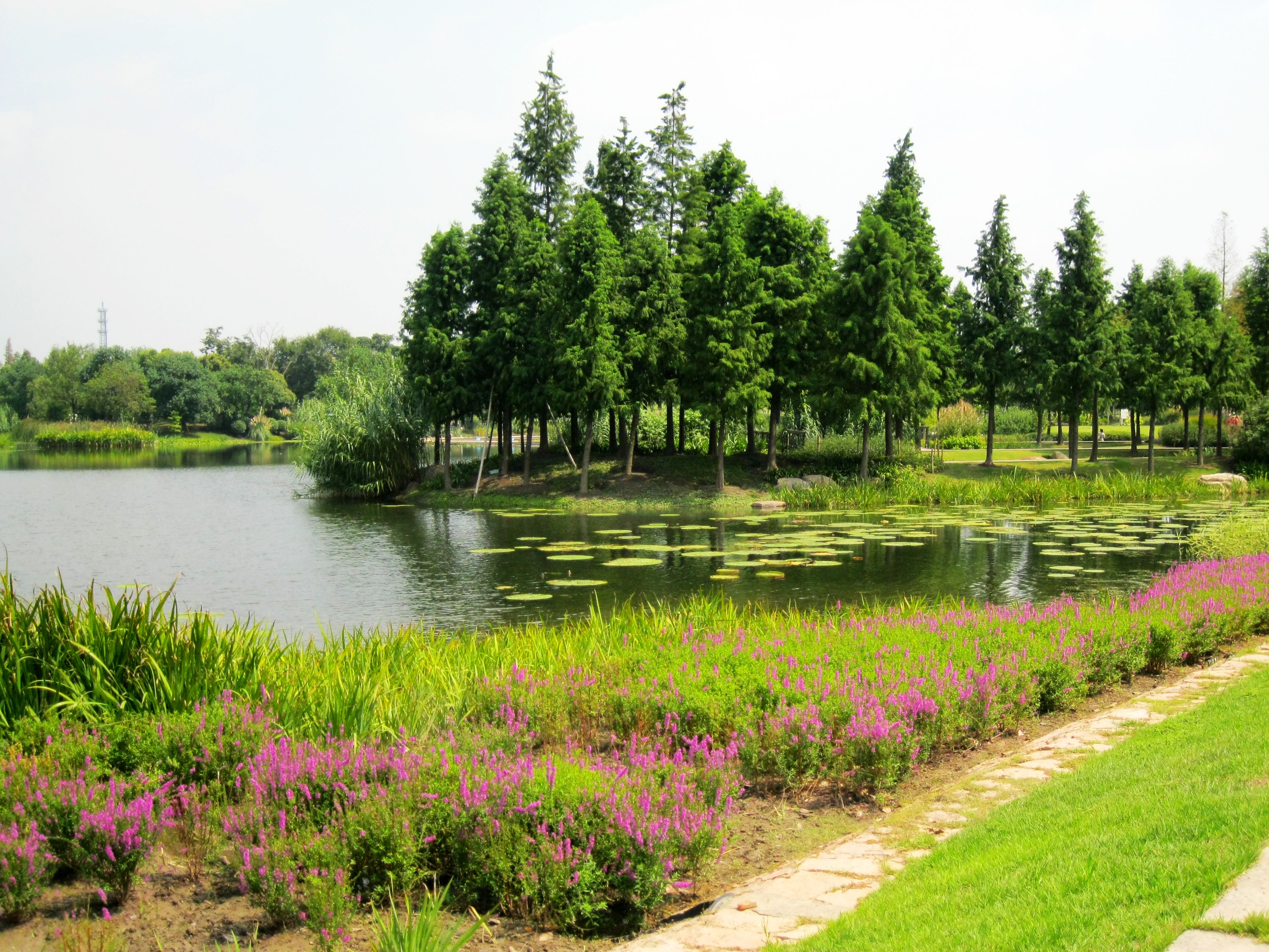 上海辰山植物园