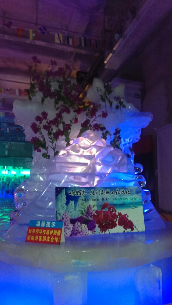 2019观音山冰雪世界_旅游攻略_门票_地址_游记点评,厦门旅游景点推荐