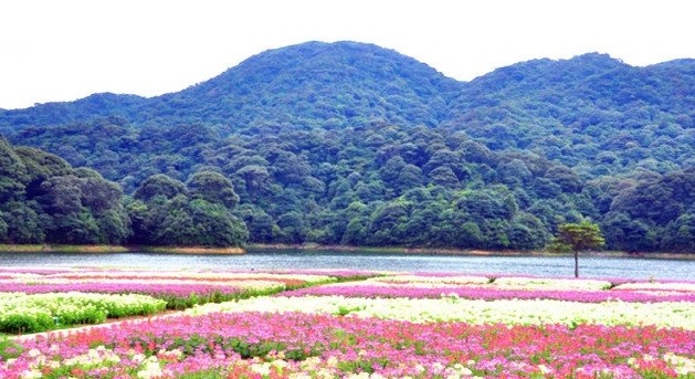 石门国家森林公园