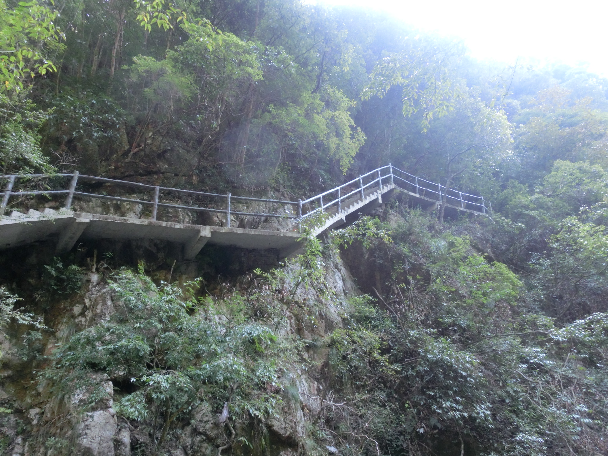 牛头山国家森林公园