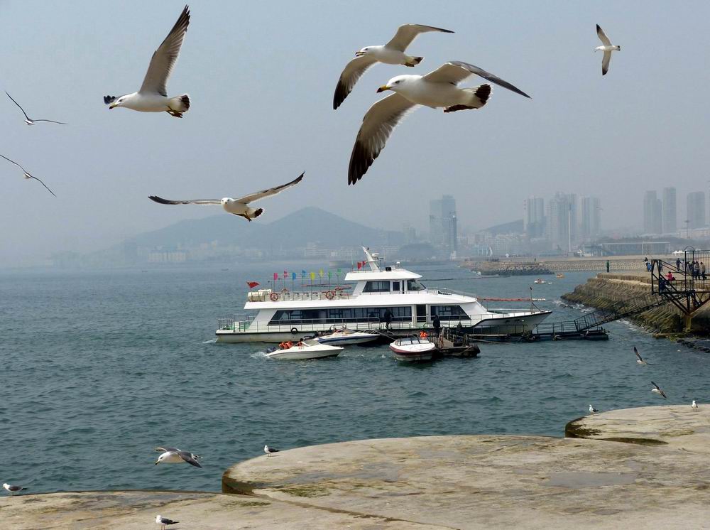 沈阳四海货运_大连四海货运_沈阳四海货运