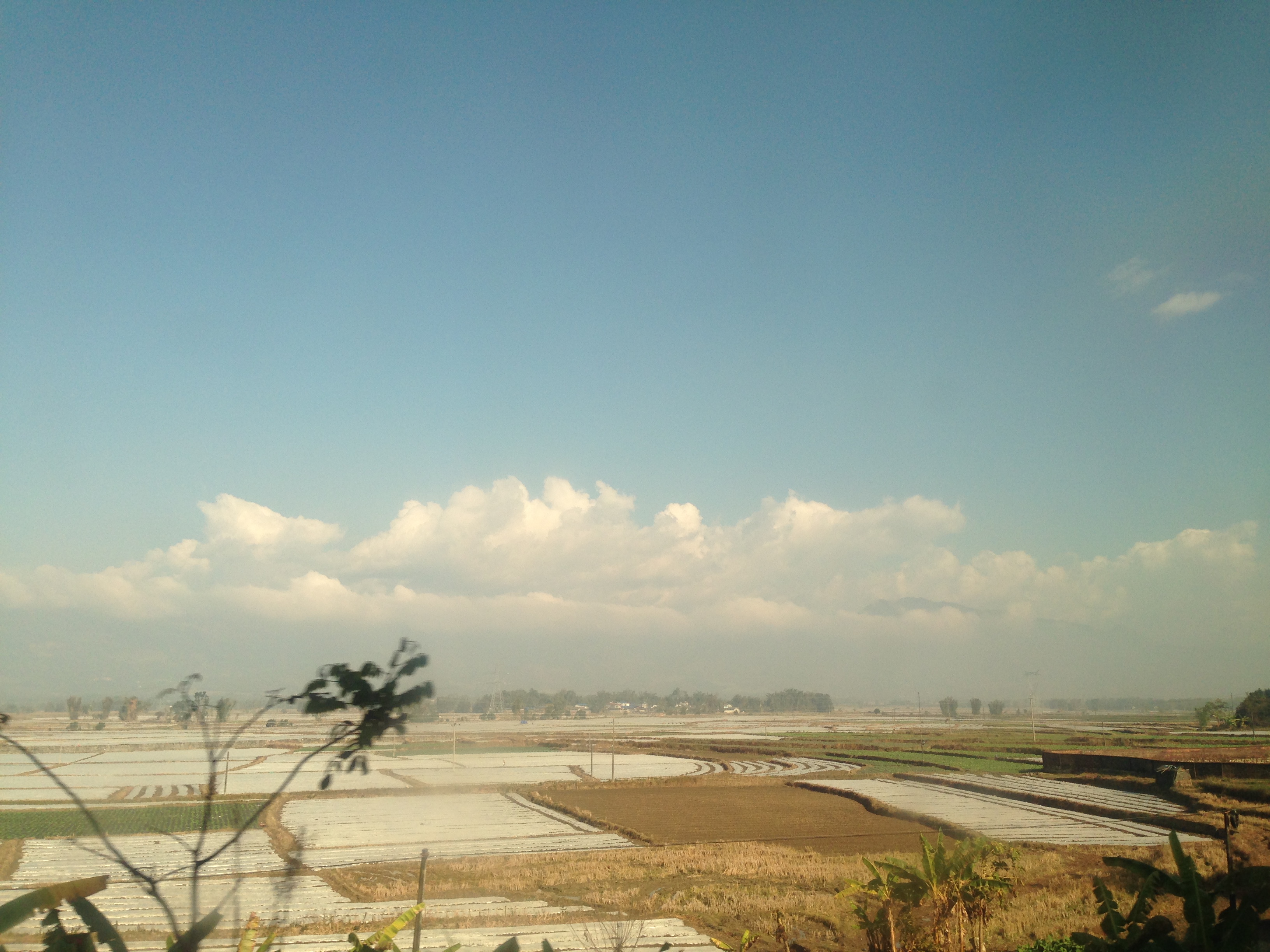 天-天天向上_天气预报15天查询_天体_天津_天气