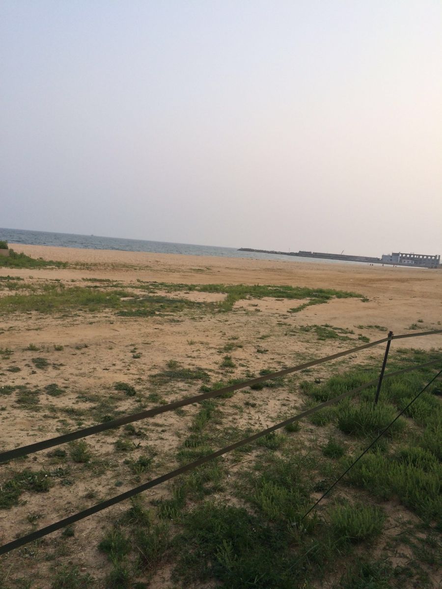绥中海滩