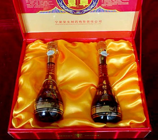 虫草酒                            