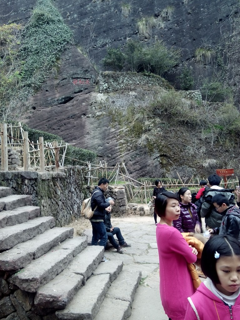 武夷山/上饶/衢州/杭州/无锡/春节8日游