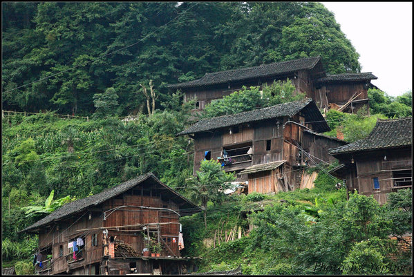 苗族吊脚楼为穿斗式歇山顶结构,分平地吊脚楼和斜坡吊脚楼两大类.