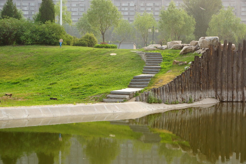 汾河湿地公园小景(4)