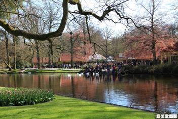 荷兰郁金香 - 游记攻略【携程攻略】