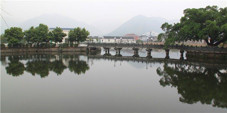 我们办公事的所在地------苍南金乡镇一景