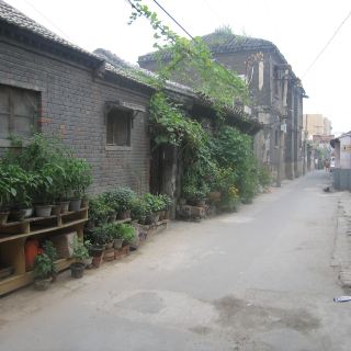 掌扇胡同
