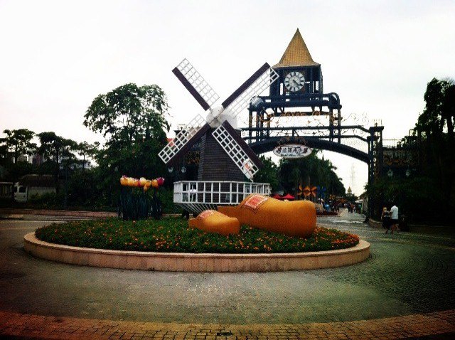 深圳荷兰花卉小镇 - 深圳游记攻略【携程攻略】