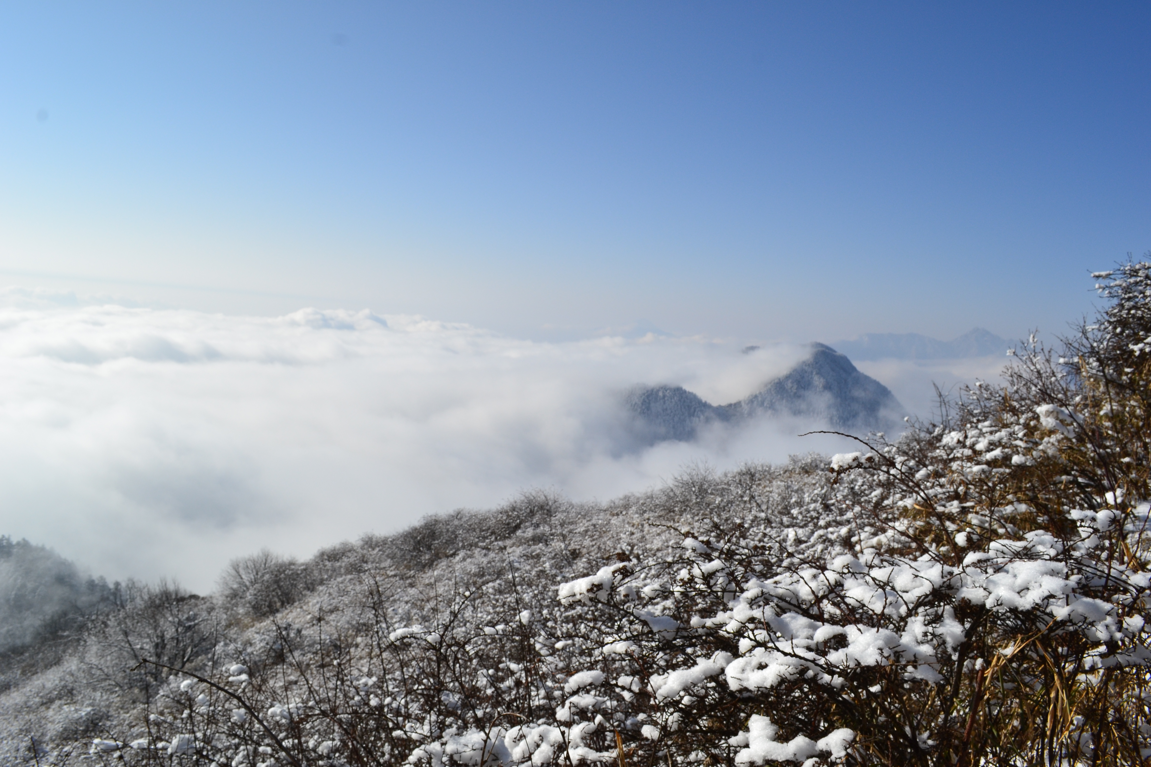 在北京没有雪的冬天,我去西岭雪山看雪,成都看熊猫,吃