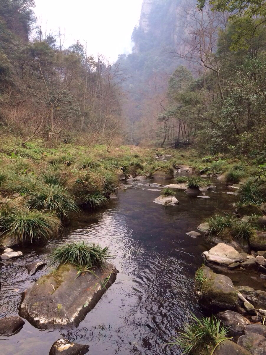金鞭溪大峡谷 携程网