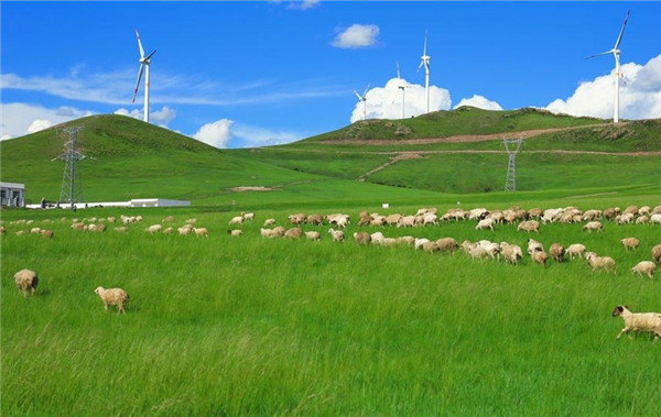 草原上的大风车,其实就是风力发电,但是在洒落在草原上真还是很壮观