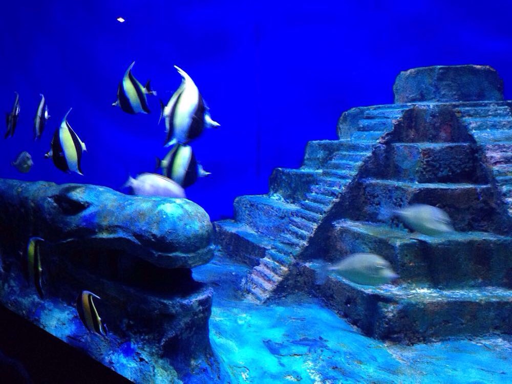 北海海底世界