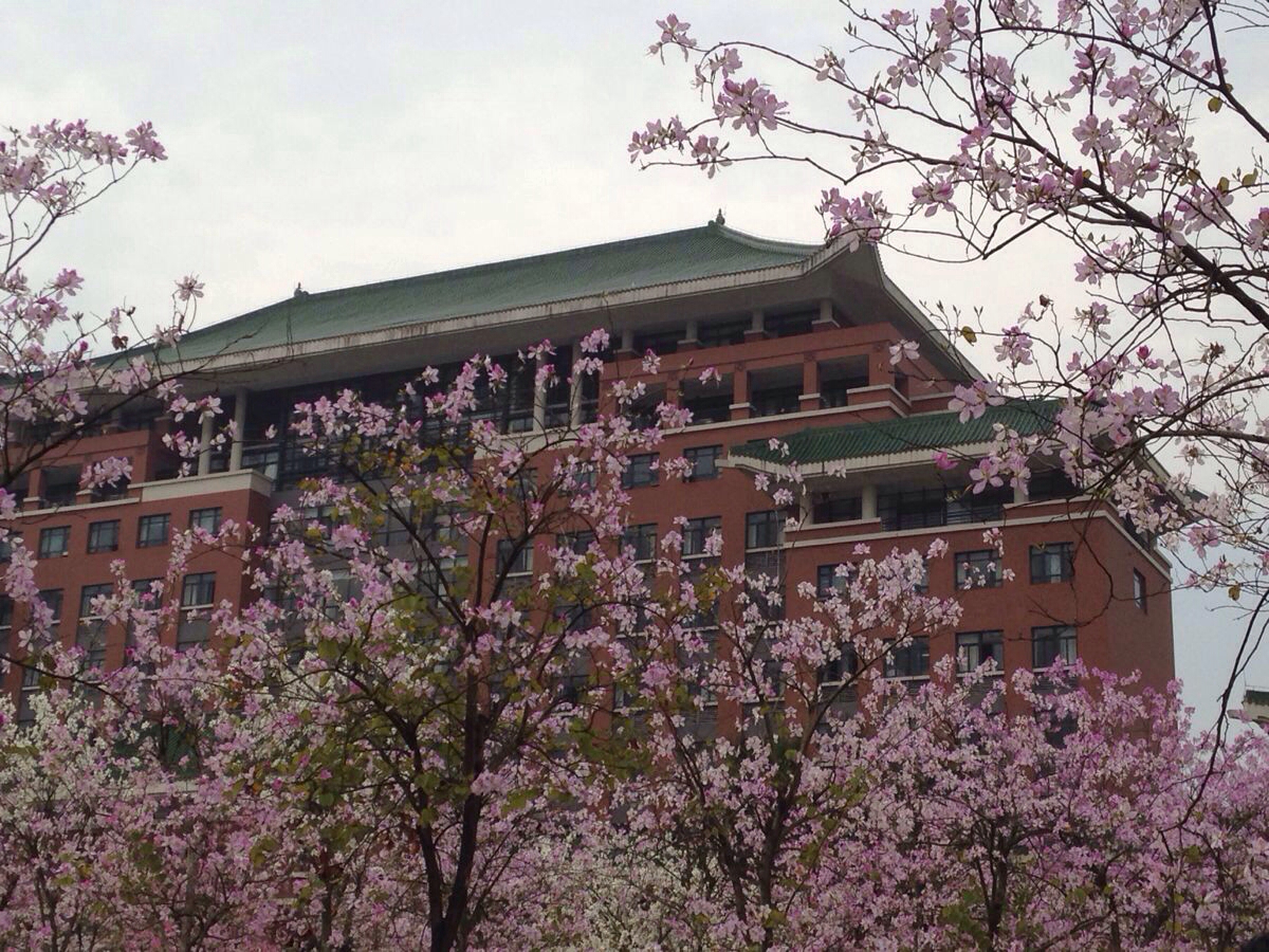 农业大学-华南师范大学-华南农业大学教务处-华