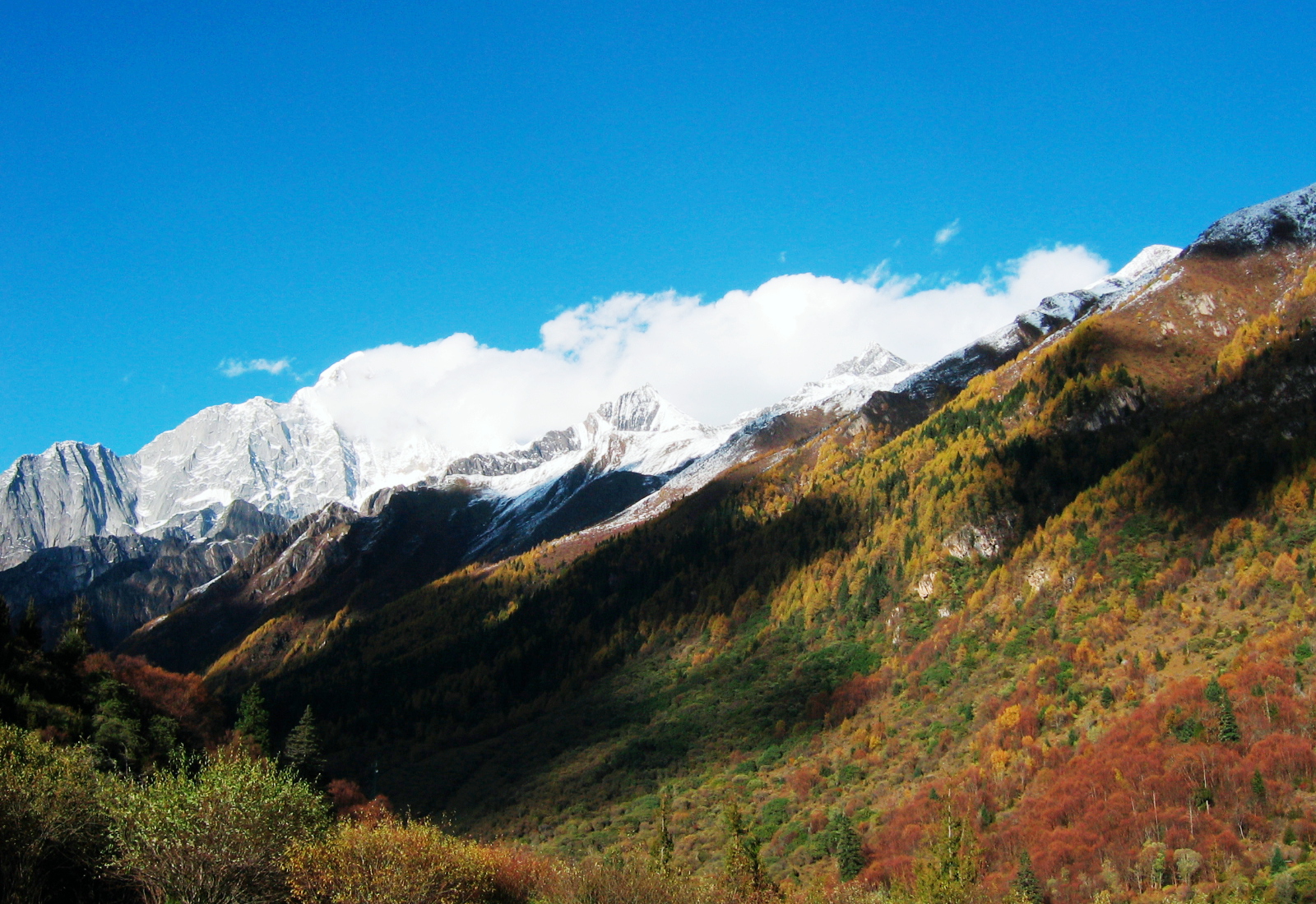 从锅庄坪上面可以清晰的看见四姑娘山的全景