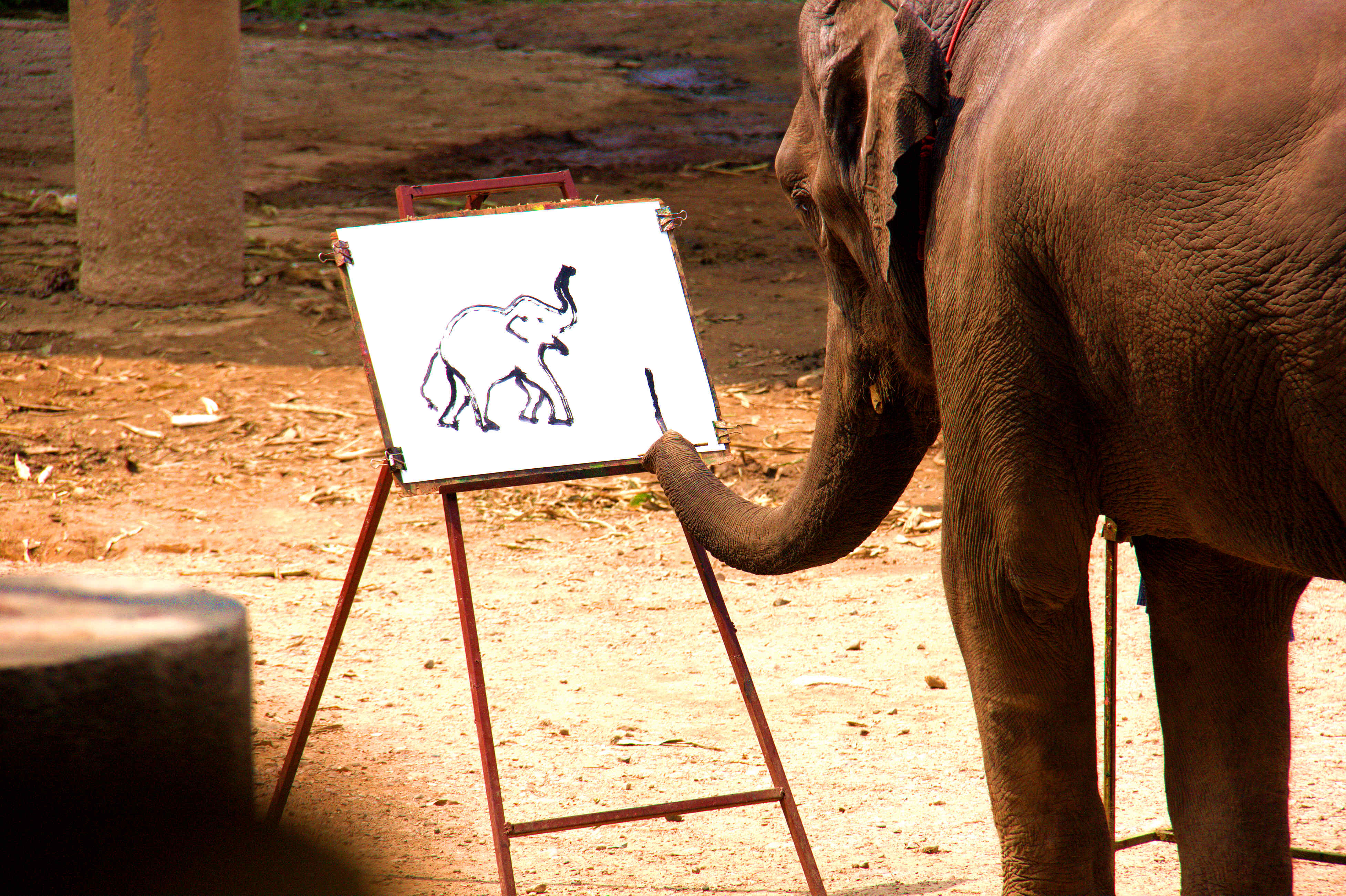 美丽的大象画画的