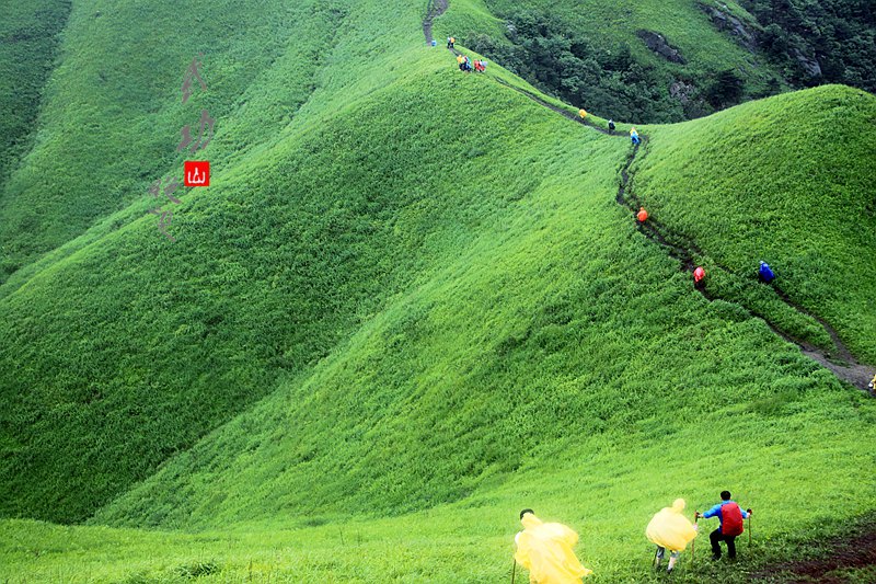 风雨武功山,最美绝望坡