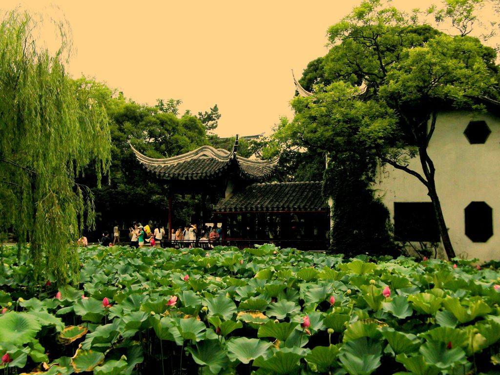 【美丽中国】【江苏 苏州】荷花节里的拙政园