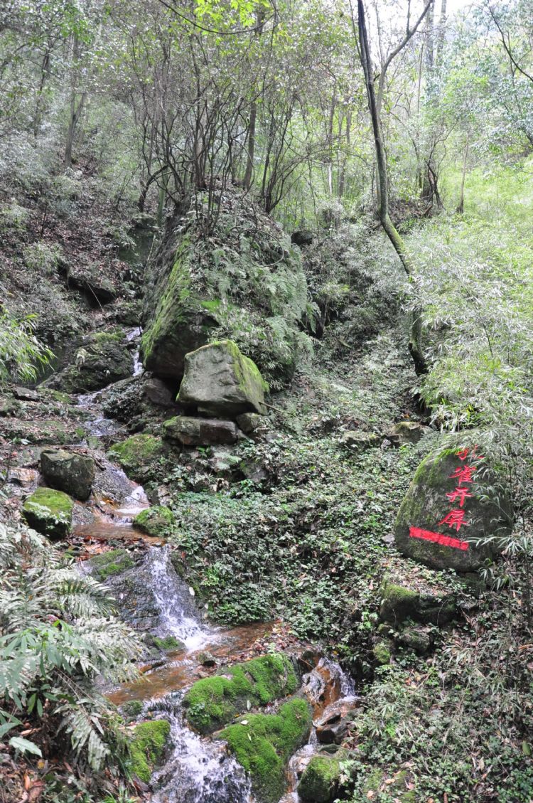 贵州游记之都匀斗篷山网游之攻略男神橙光游戏图片
