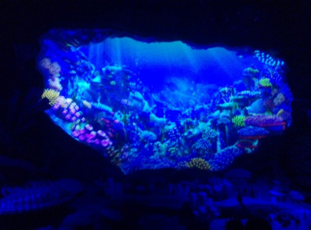 【i旅行】杭州烂苹果乐园一日游