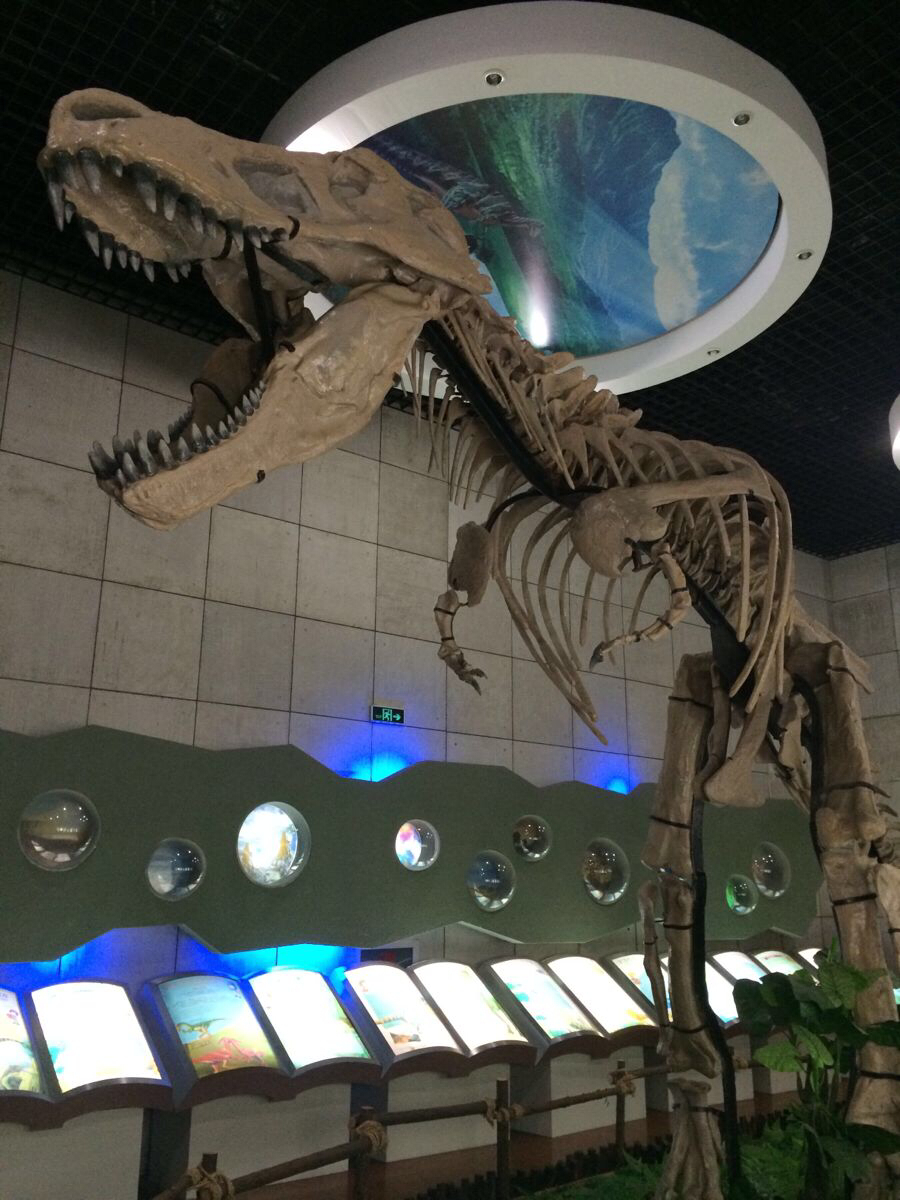 诸城恐龙博物馆|诸城游记-携程旅行