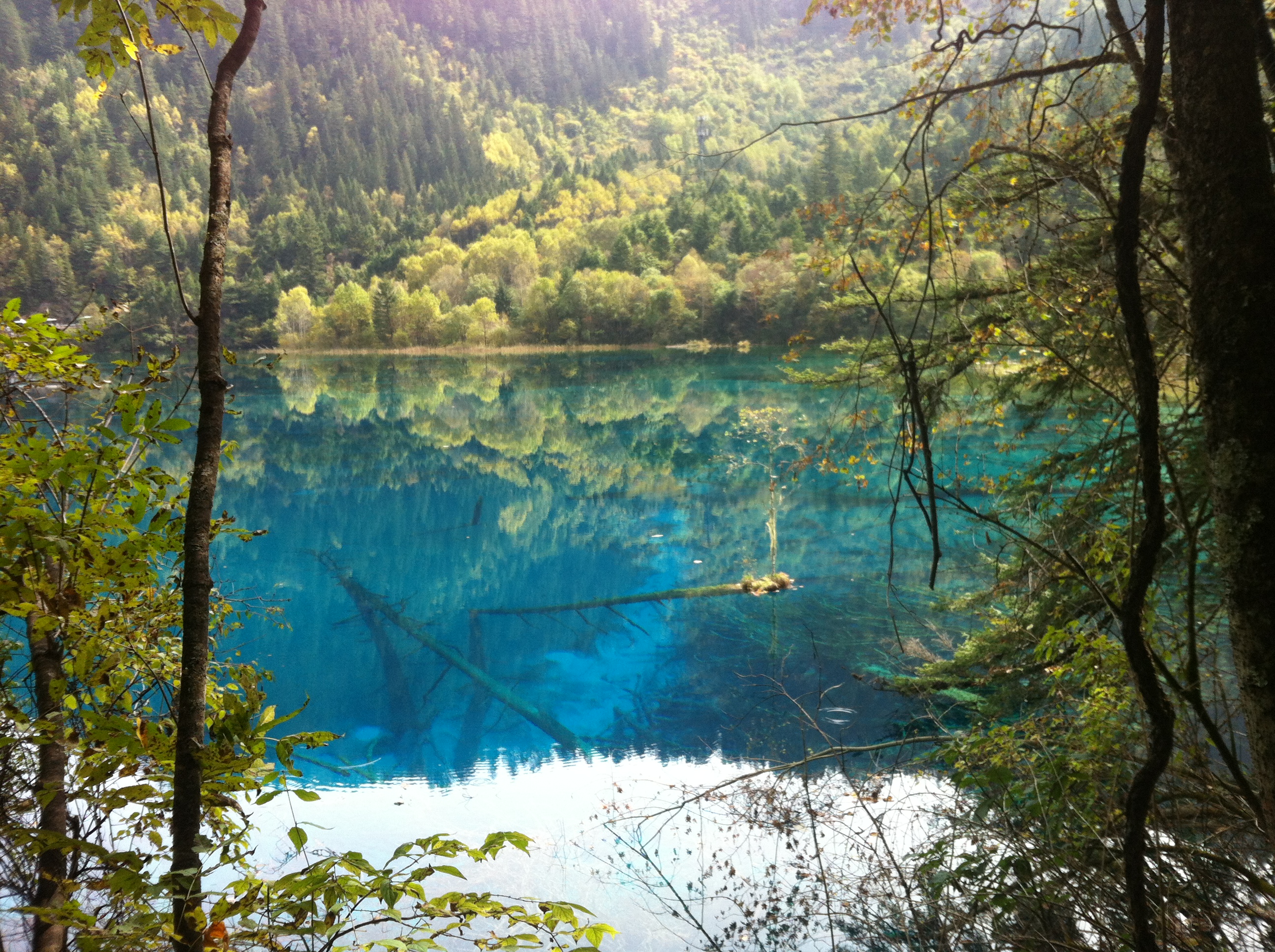 九寨沟是哪个省的风景区?