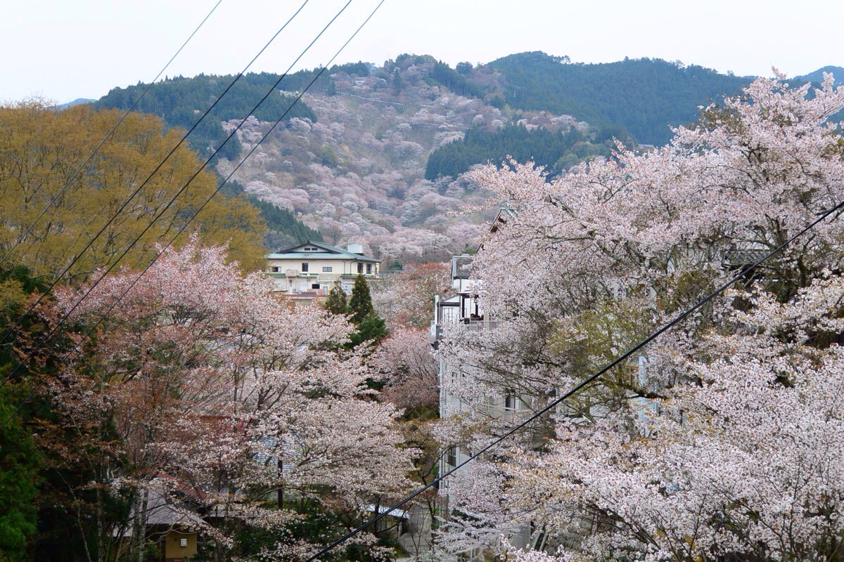 日本奈良吉野山