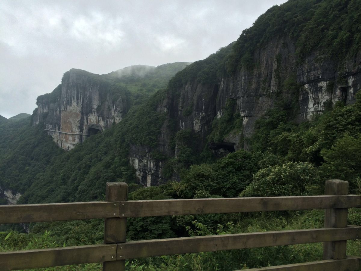 金佛山,重庆金佛山攻略/地址/图片/门票【携程攻略】