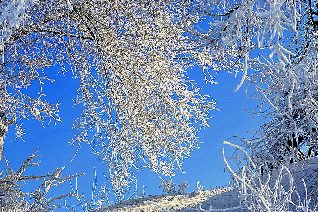 雾淞观止(五)雾淞雪影