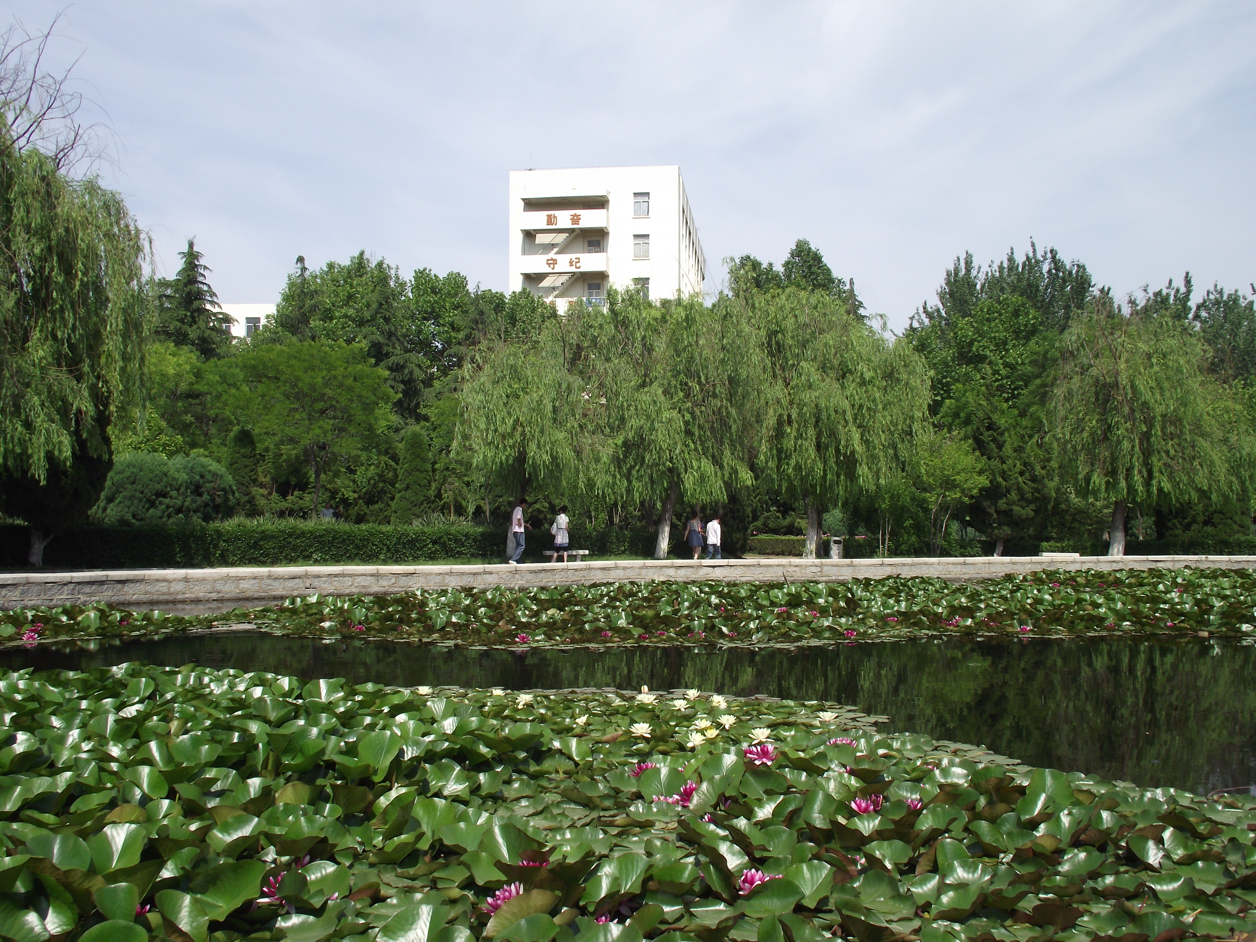 鲁东大学的夏天. - 烟台游记攻略【携程攻略】