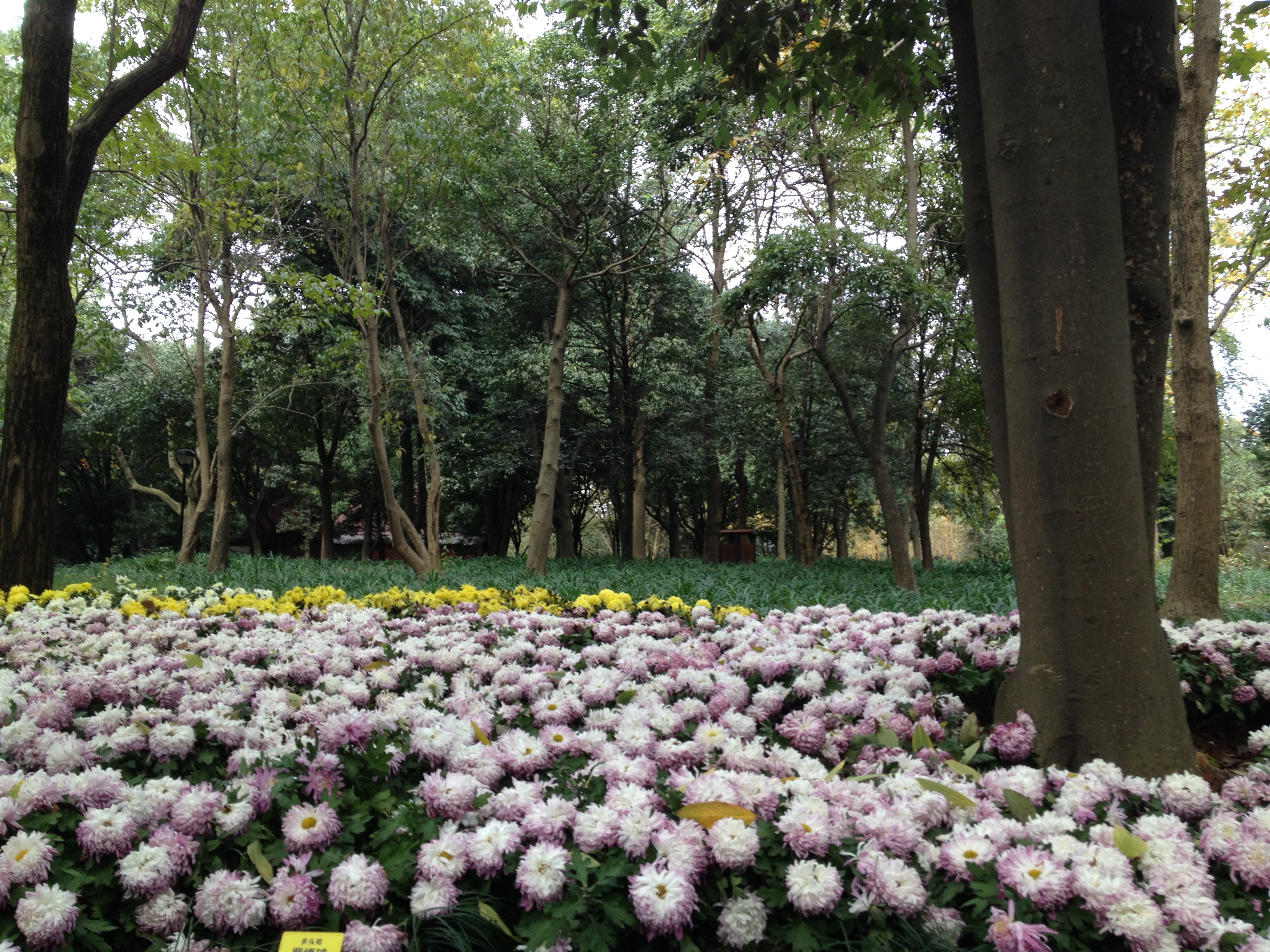 【携程攻略】杭州杭州植物园适合家庭亲子旅游吗,杭州