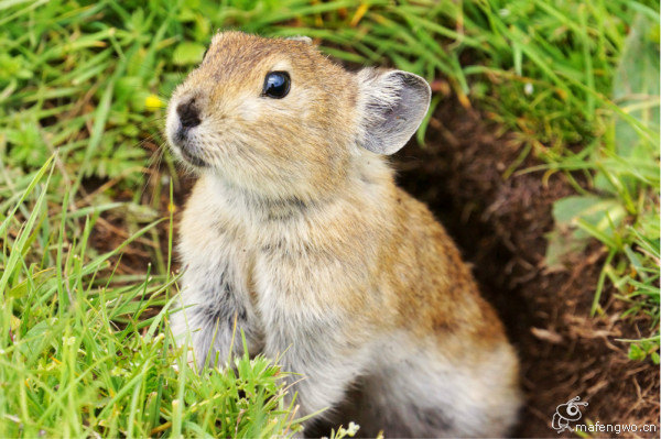 大美青海、甘肃---七色丹霞之旅 - 青海游记攻略