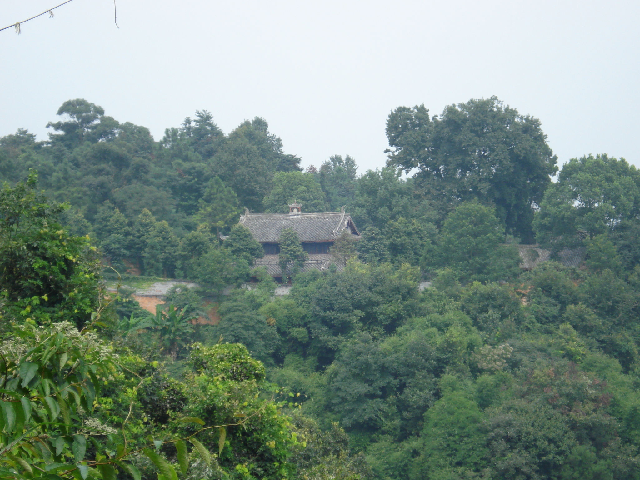 邛崃白鹤山-鹤林寺(2008年8月成都邛崃)