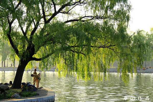 【加游站】【环球体验】沈阳,爱你夏天的味道