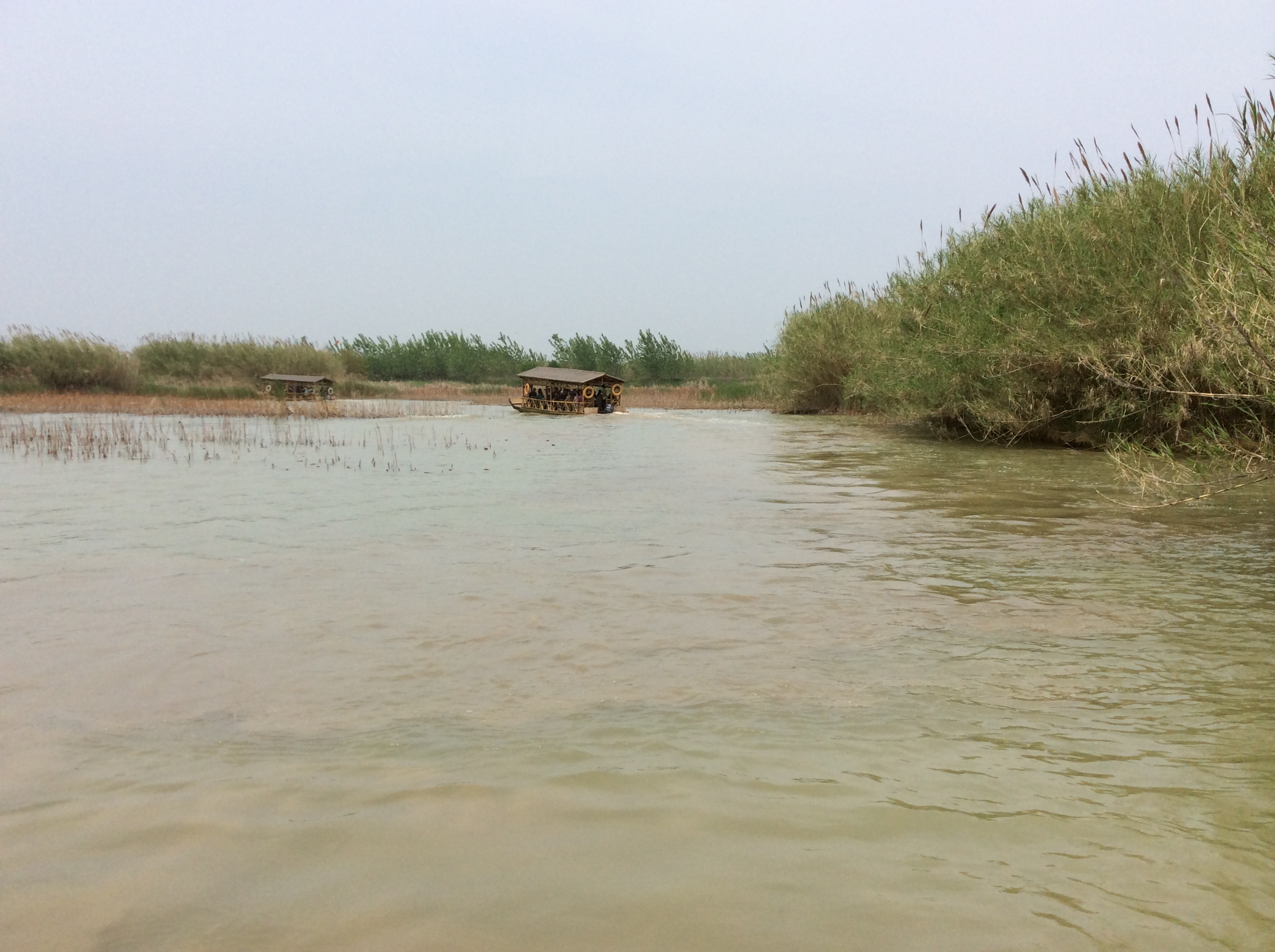 去洪泽湖湿地公园做深呼吸