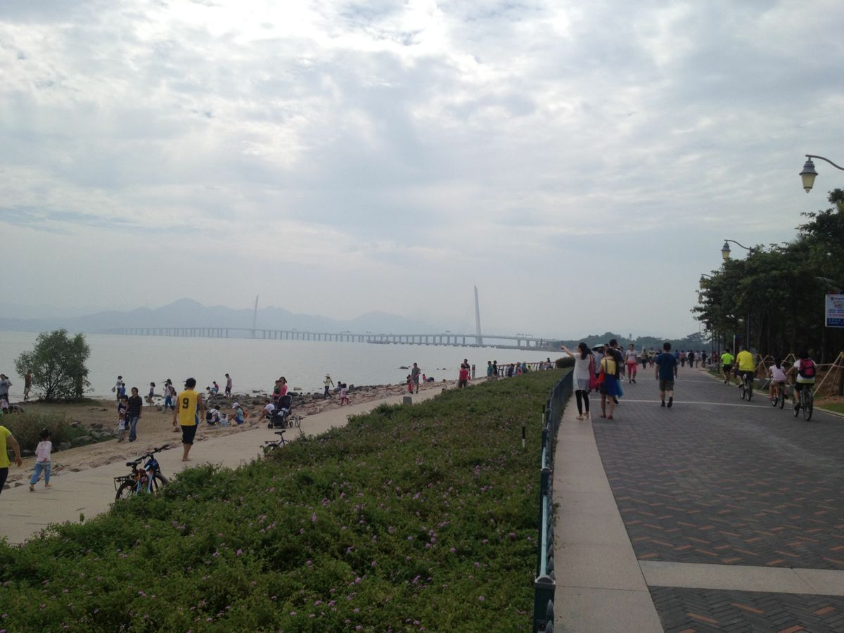 深圳湾公园