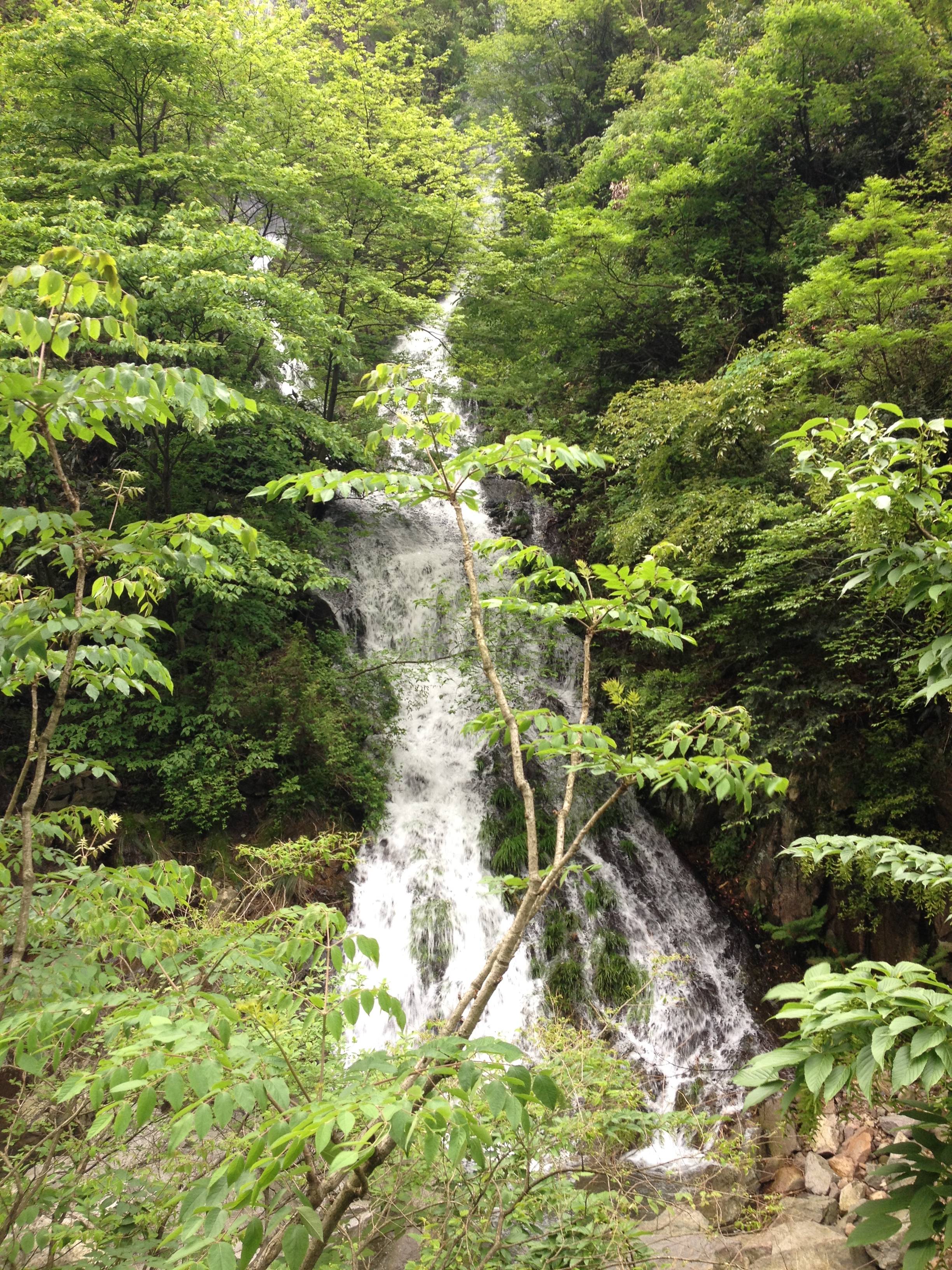 真山真水天荒坪