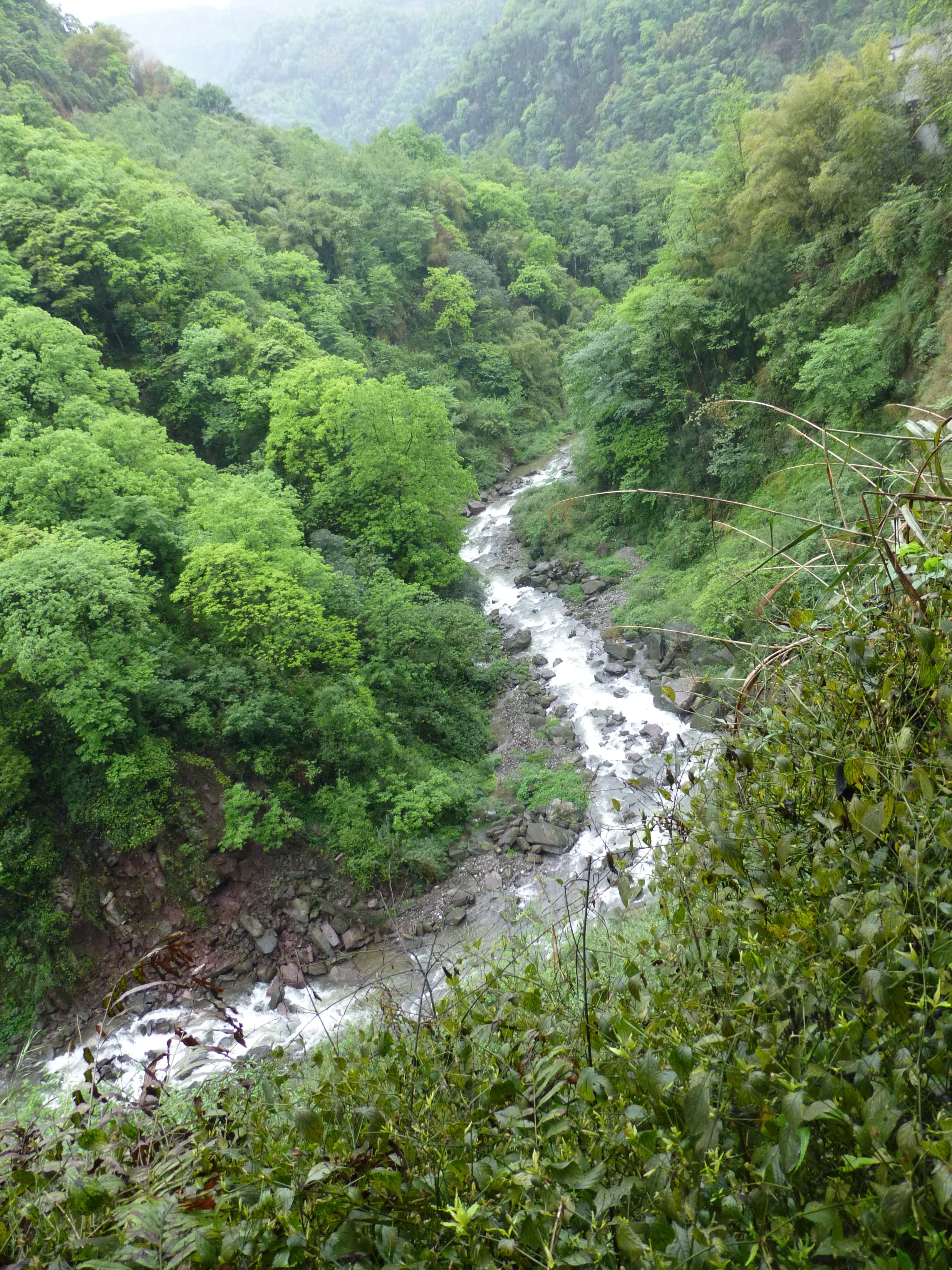 【行程大师赛】四川之旅——成都,黄龙溪,峨眉山,乐山