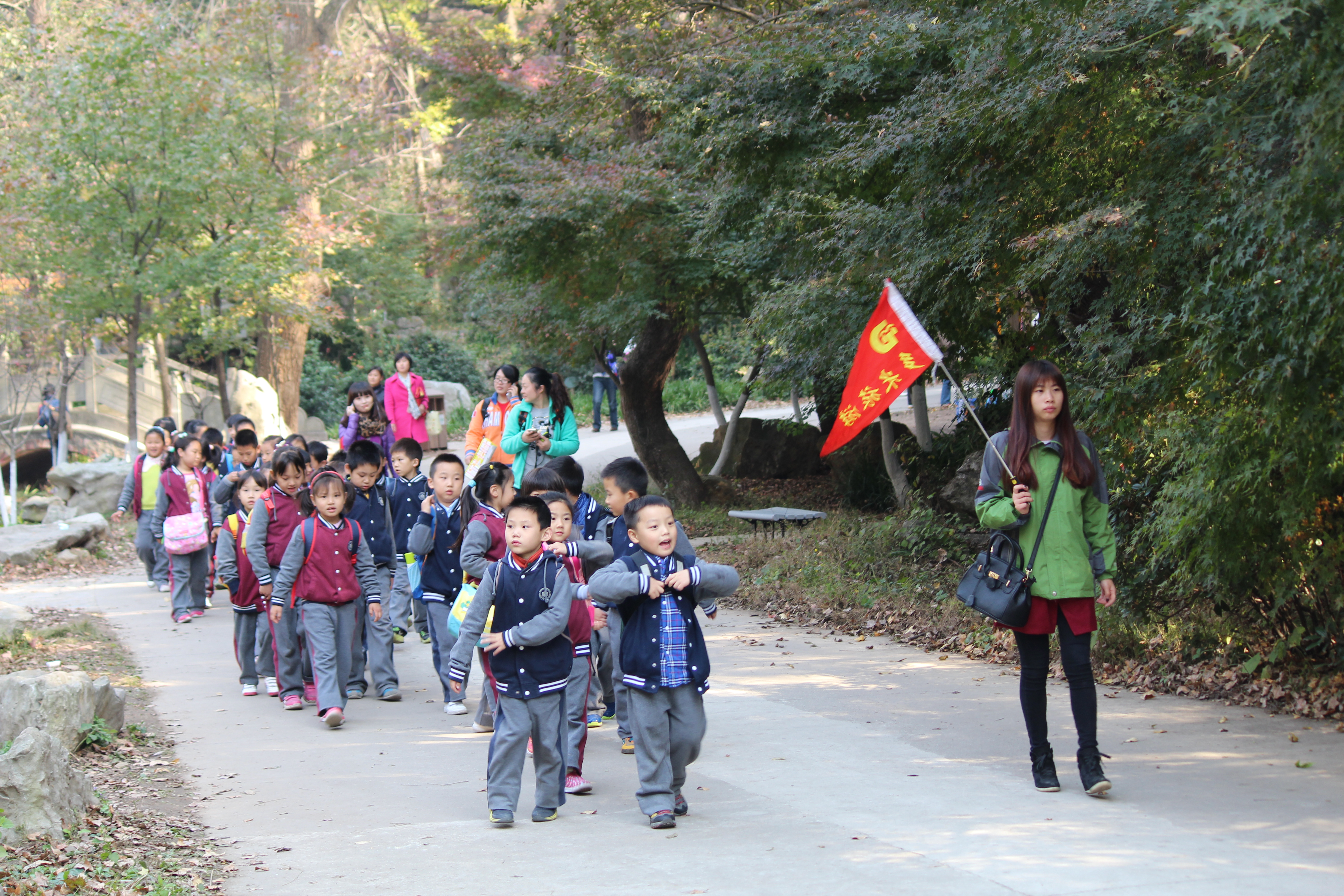 遇到很多小学生秋游