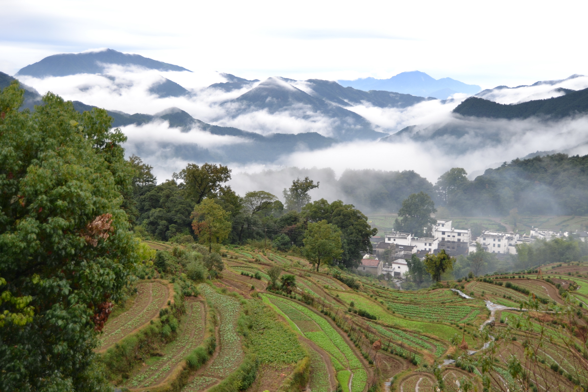 江岭景区