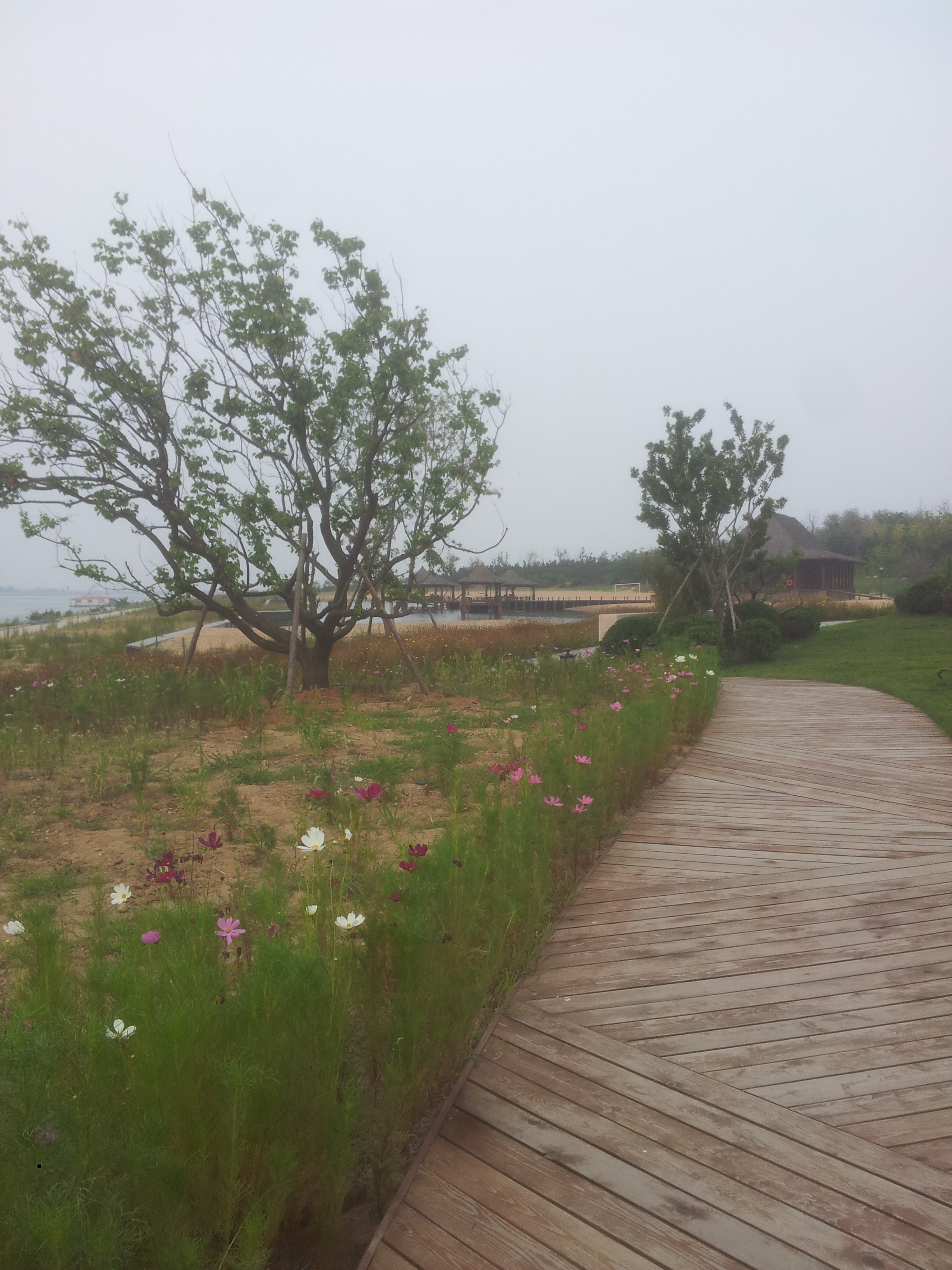 烟台牟平养马岛龙湖地产体验区