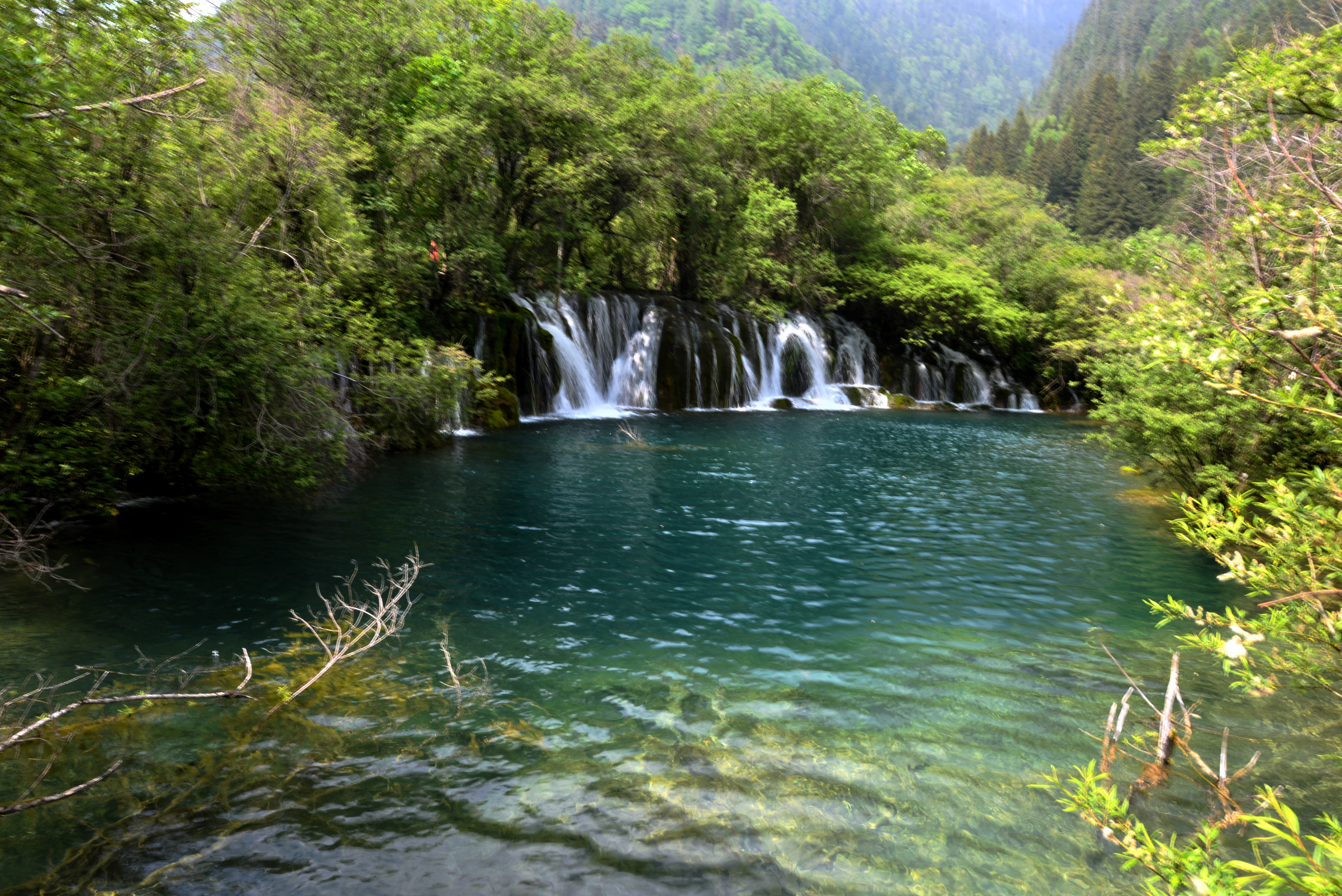 去九寨沟看色彩缤纷的水,用单反留下大自然的美景!